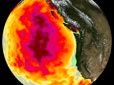 2015 Monthly average Sea Surface Temperature (SST) anomaly